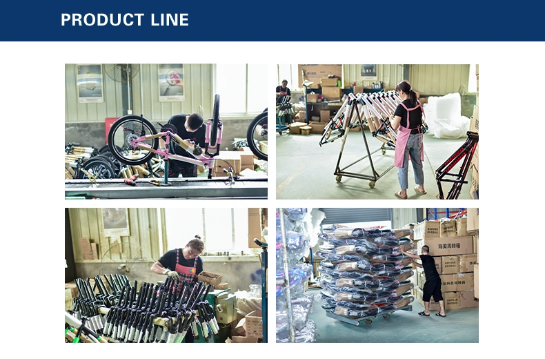20 Inch BMX Bicycle Steel Frame Bike Chinese Bike OEM